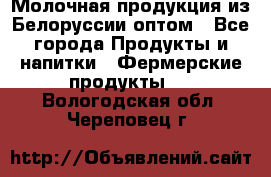 Молочная продукция из Белоруссии оптом - Все города Продукты и напитки » Фермерские продукты   . Вологодская обл.,Череповец г.